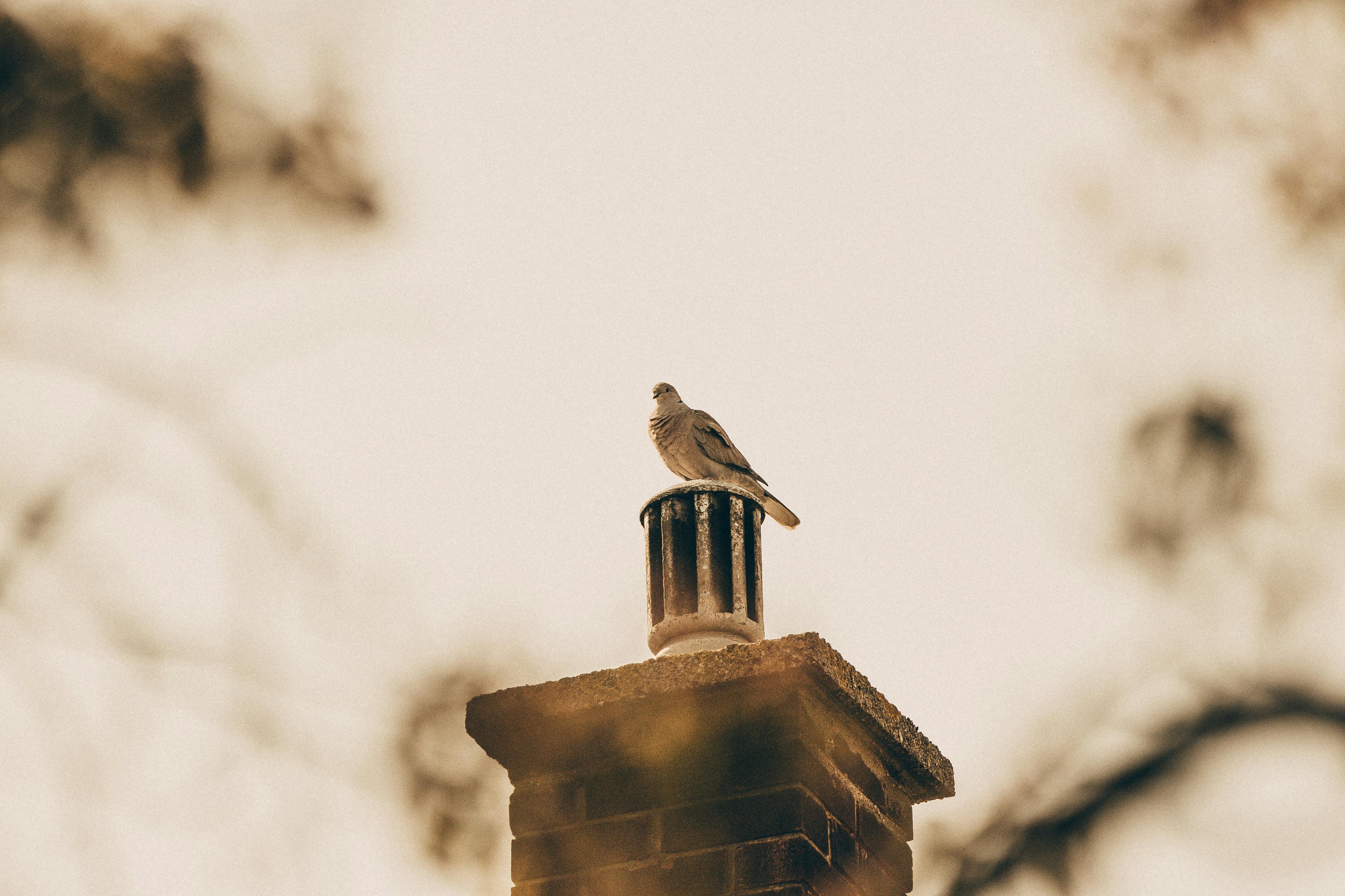 Professional Chimney Cap Installation Services in Chatham, MA Expert Chimney Cap Installation in Chatham, Massachusetts